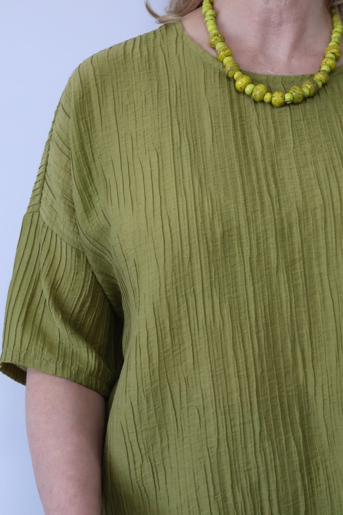 Conjunto MUSGO