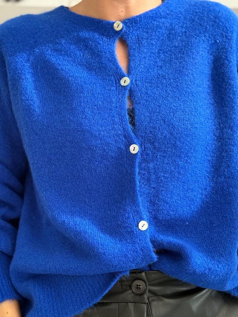 Rebeca ANGORA Azulina