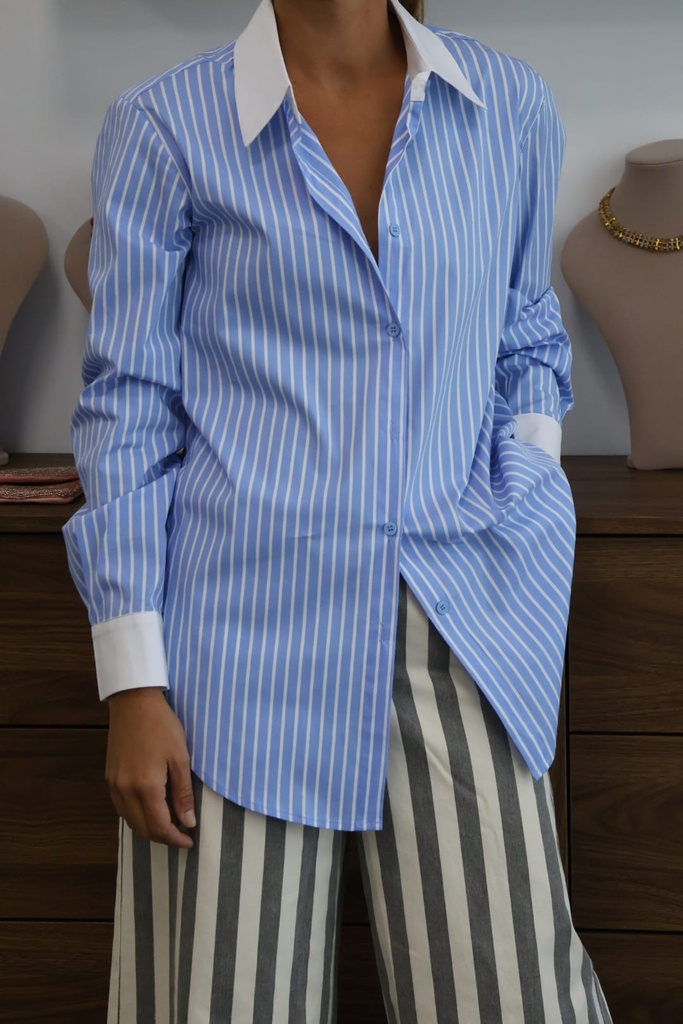 Camisa DARWIN