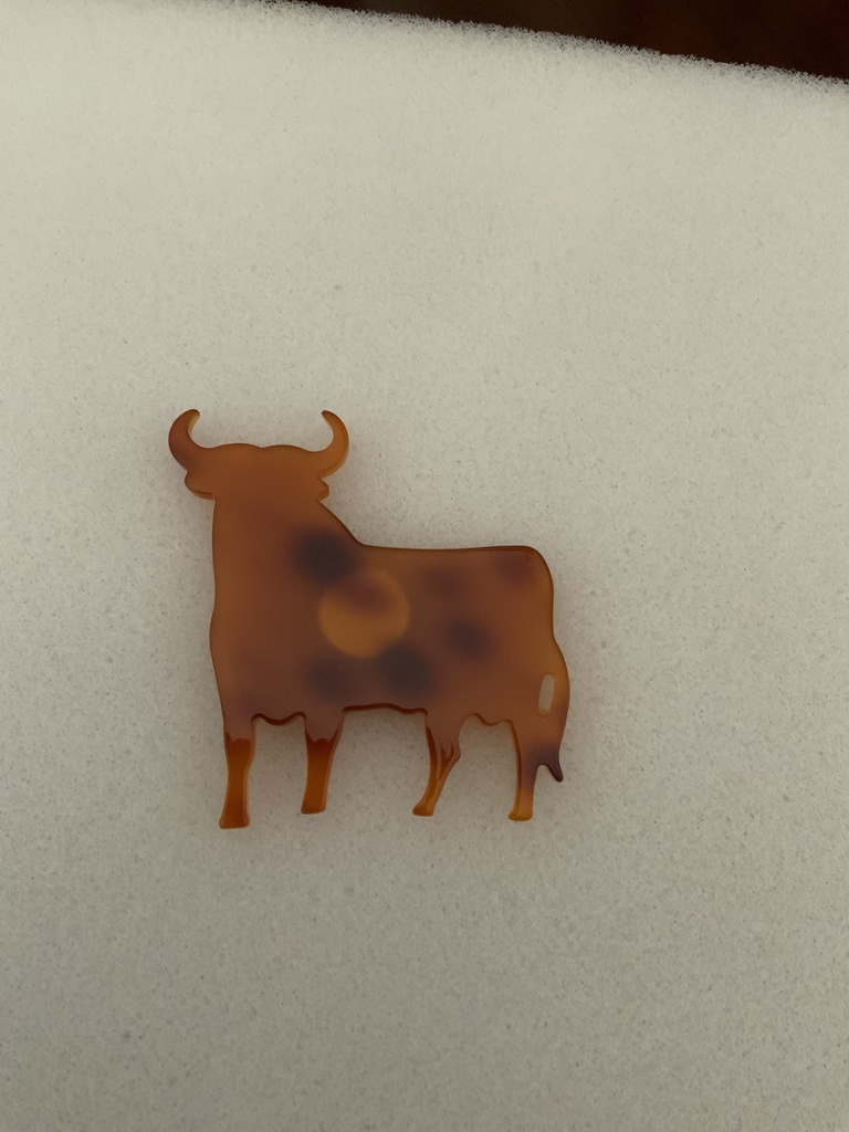 Broche TORO Carey