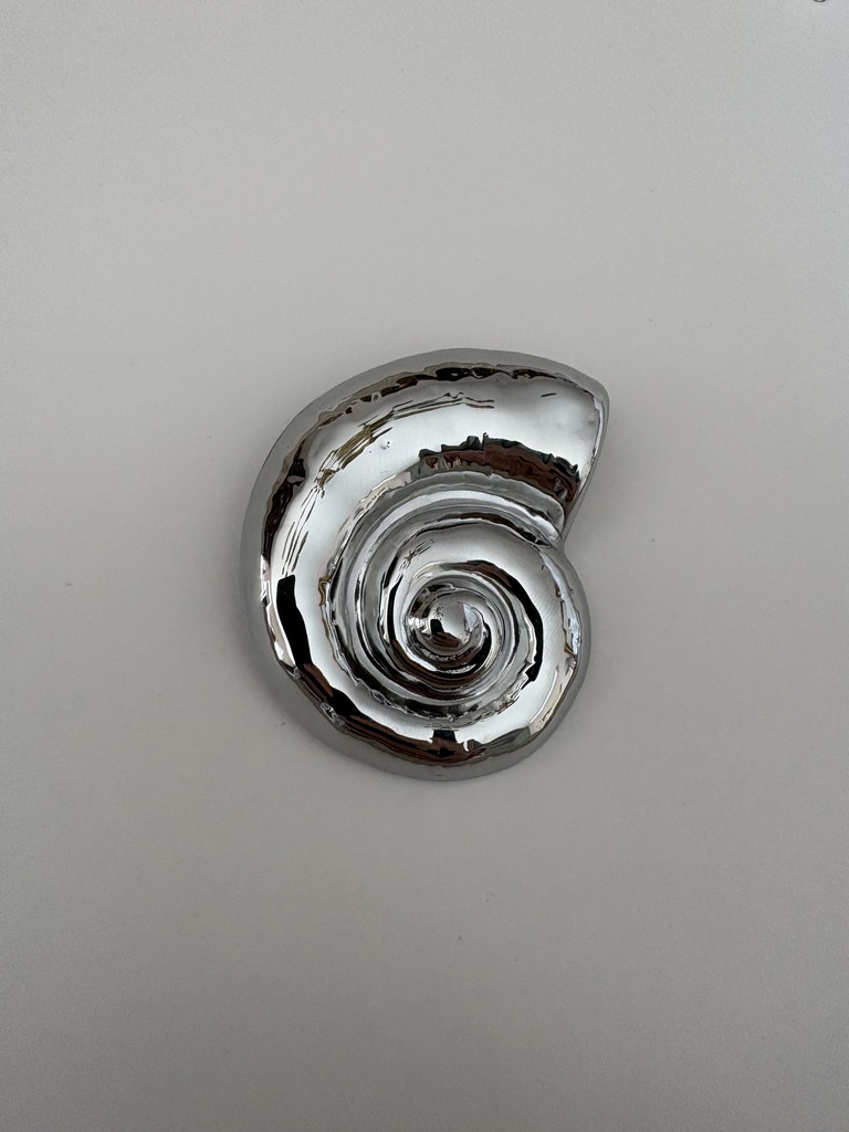 Broche FÓSIL Plateado