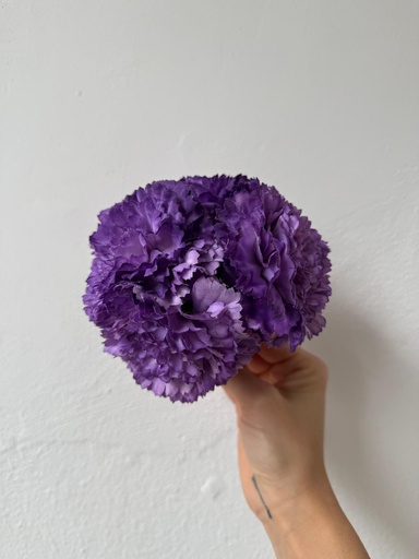 Ramillete CLAVEL Morado