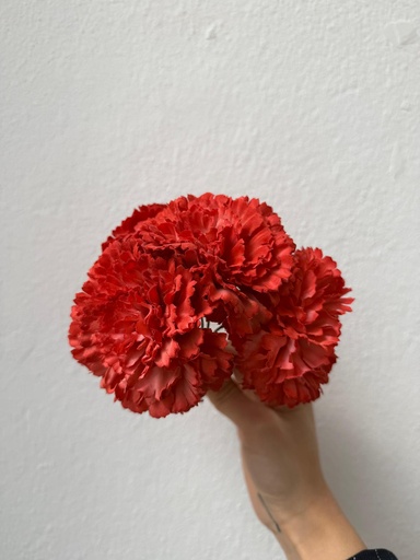 Ramillete CLAVEL Coral