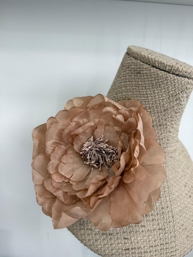 Broche AMANCIA Nude