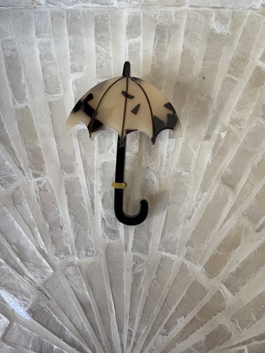 Broche PARAGUAS Carey